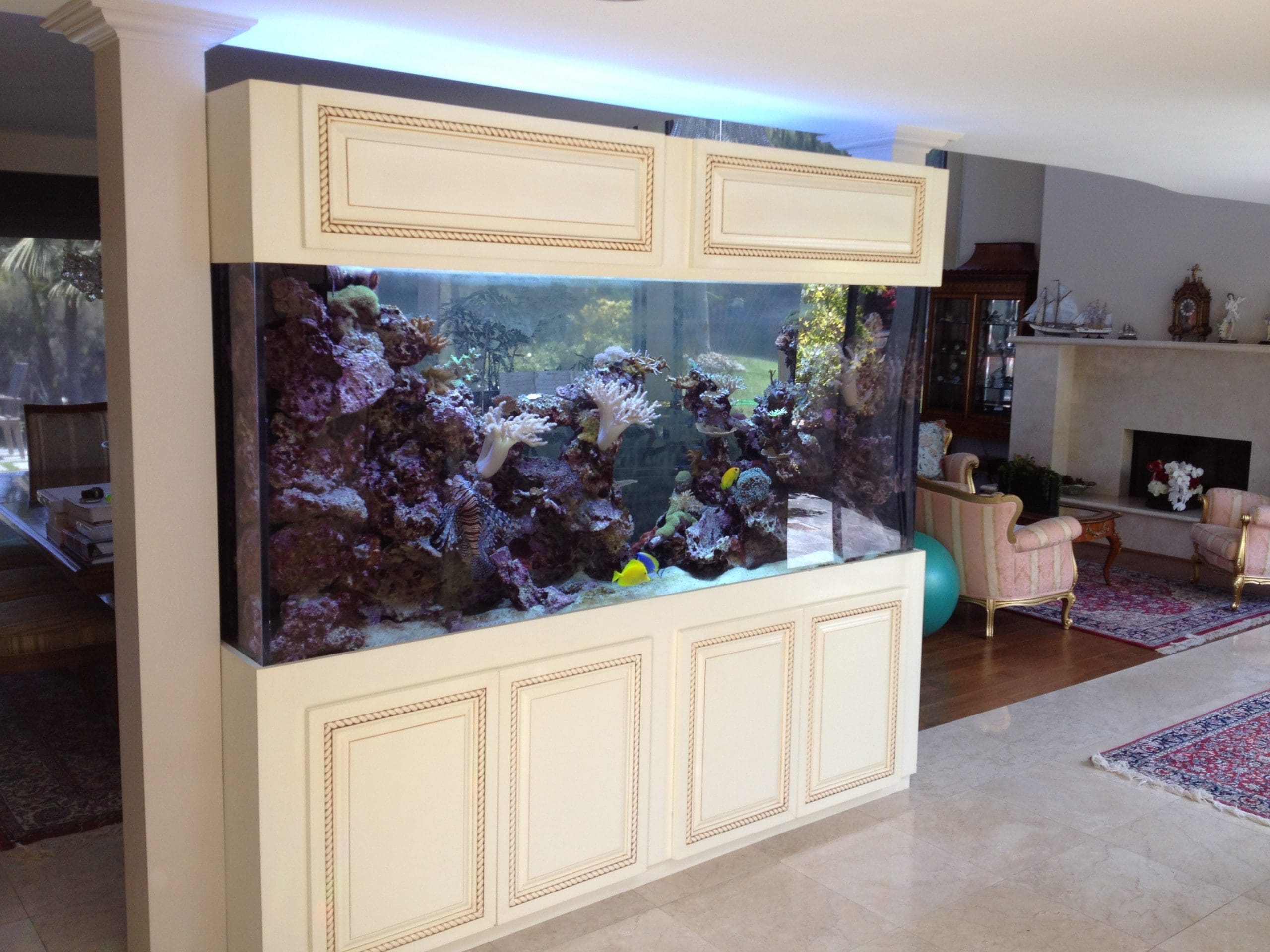 Pacific Palisades 400 gallon live coral reef aquarium
